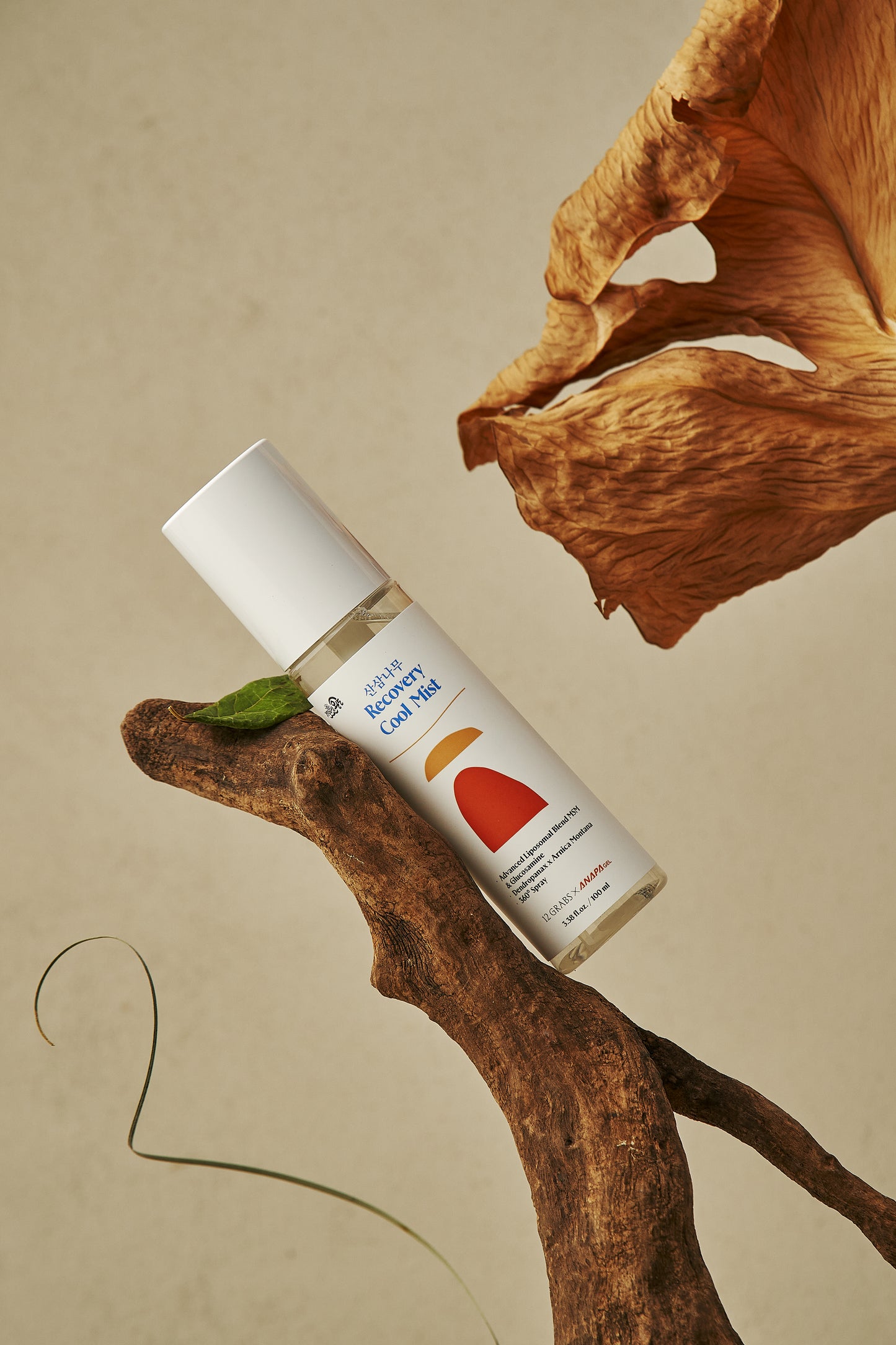 12GRABS Recovery Cool Mist – Hwangchil + Arnica Montana + MSM Liposome Instant Refresh & Fatigue Relief Spray 100ml